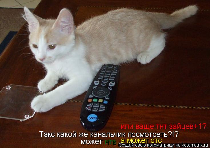 Тэкс какой же канальчик посмотреть?!? может нтв а может стс или ваще тнт зайцев+1?... Котоматрица: Тэкс какой же канальчик посмотреть?!? может нтв а может стс или ваще тнт зайцев+1?