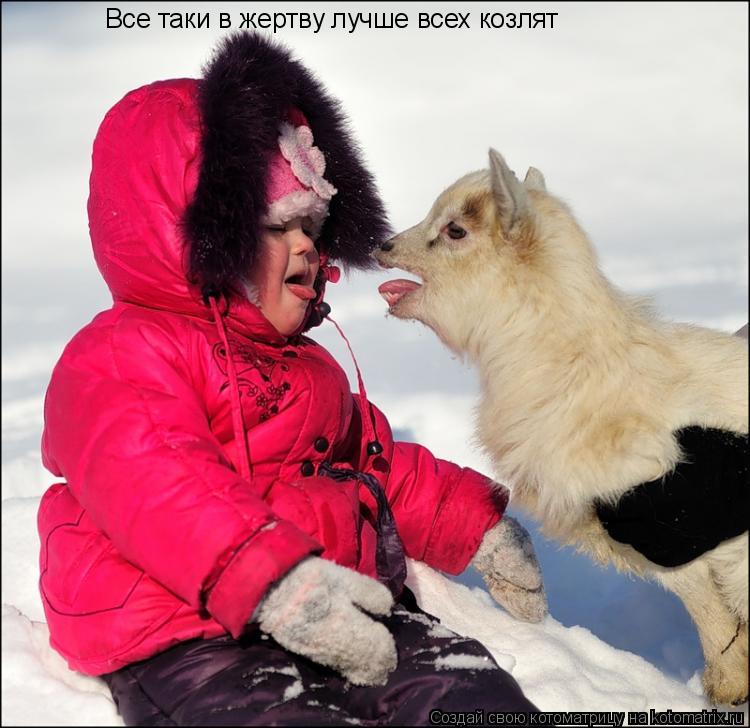 Все таки в жертву лучше всех козлят... Котоматрица: Все таки в жертву лучше всех козлят