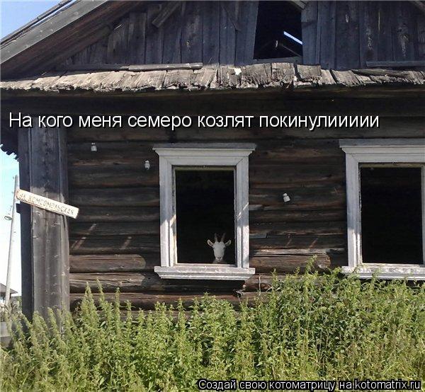 На кого меня семеро козлят покинулиииии... Котоматрица: На кого меня семеро козлят покинулиииии