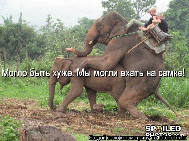 Могло быть хуже. Мы могли ехать на самке!... Котоматрица: Могло быть хуже. Мы могли ехать на самке!