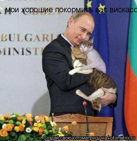 мои хорошие покормить вас вискасом?... Котоматрица: мои хорошие покормить вас вискасом?