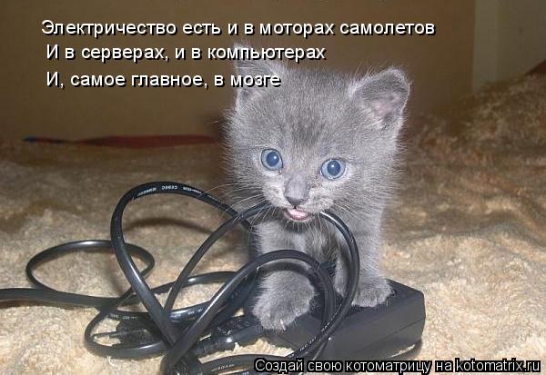 Электричество есть и в моторах самолетов И в серверах, и в компьютерах И, самое главное, в мозге... Котоматрица: Электричество есть и в моторах самолетов И в серверах, и в компьютерах И, самое главное, в мозге