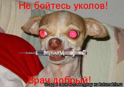 Не бойтесь уколов! Врач добрый!... Котоматрица: Не бойтесь уколов! Врач добрый!