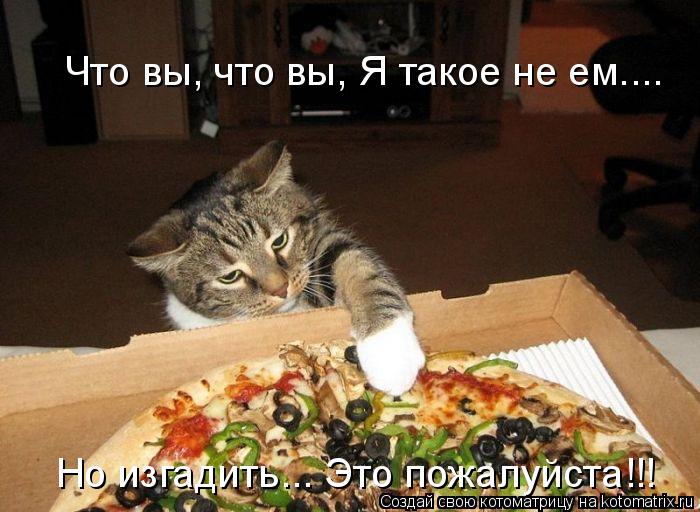 Котоматрица: Что вы, что вы, Я такое не ем.... Но изгадить... Это пожалуйста!!!