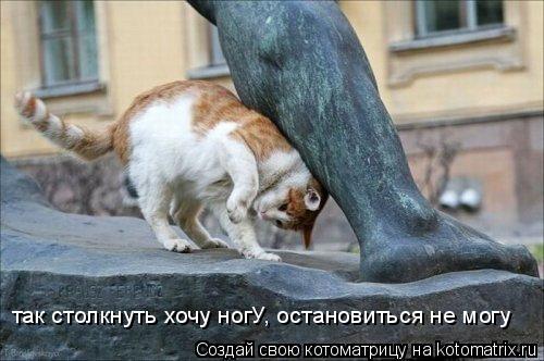 так столкнуть хочу ногУ, остановиться не могу... Котоматрица: так столкнуть хочу ногУ, остановиться не могу