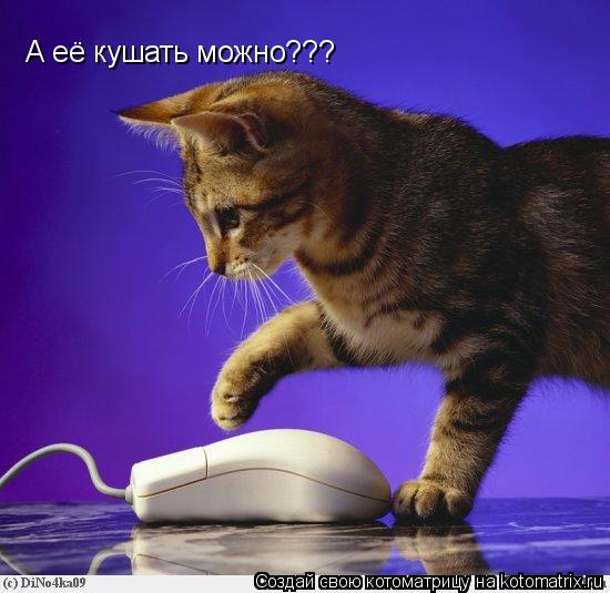 А её кушать можно???... Котоматрица: А её кушать можно???
