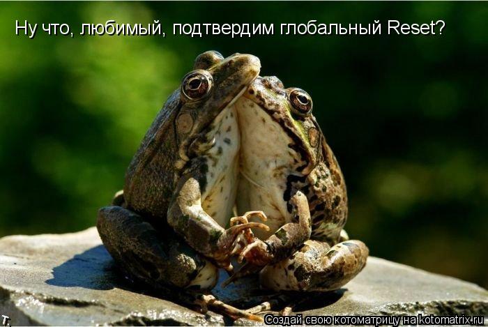 Котоматрица: Ну что, любимый, подтвердим глобальный Reset?
