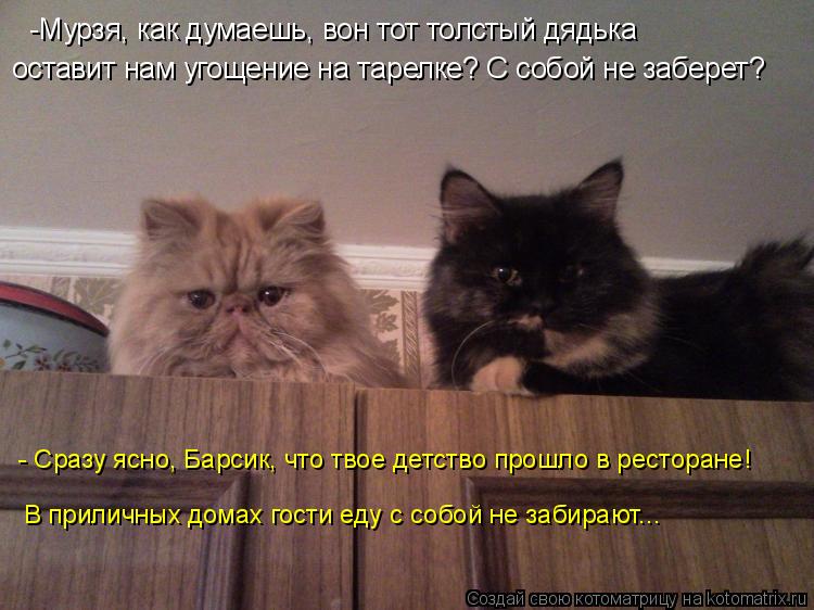 -Мурзя, как думаешь, вон тот толстый дядька оставит нам угощение на тарелке? С собой не заберет? - С... Котоматрица: -Мурзя, как думаешь, вон тот толстый дядька оставит нам угощение на тарелке? С собой не заберет? - Сразу ясно, Барсик, что твое детство прошло