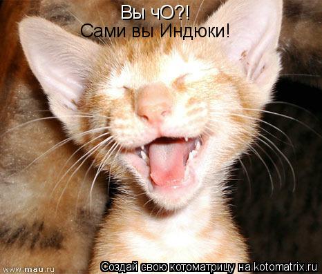 Котоматрица: Вы чО?! Сами вы Индюки!