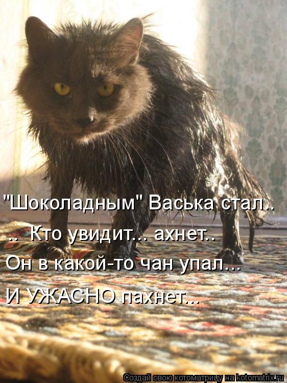 .. Кто увидит... ахнет.. Он в какой-то чан упал... "Шоколадным" Васька стал.. И УЖАСНО пахнет...... Котоматрица: .. Кто увидит... ахнет.. Он в какой-то чан упал... "Шоколадным" Васька стал.. И УЖАСНО пахнет...
