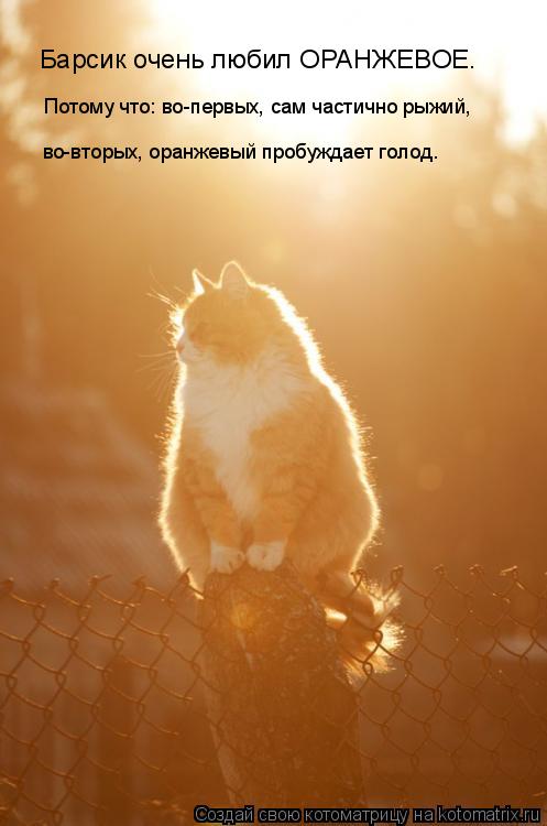 Котоматрица: Барсик очень любил ОРАНЖЕВОЕ. Потому что: во-первых, сам частично рыжий, во-вторых, оранжевый пробуждает голод.