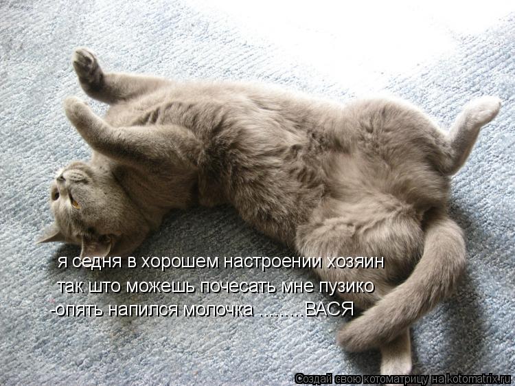 Котоматрица: я седня в хорошем настроении хозяин  так што можешь почесать мне пузико -опять напился молочка .........ВАСЯ