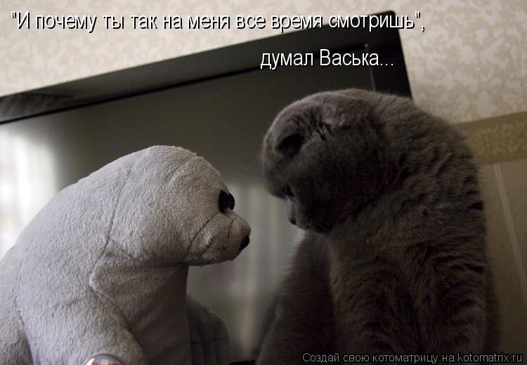 Котоматрица: "И почему ты так на меня все время смотришь",  думал Васька...