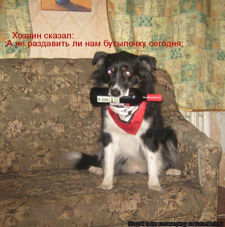 Котоматрица: Хозяин сказал:   ;А не раздавить ли нам бутылочку сегодня;