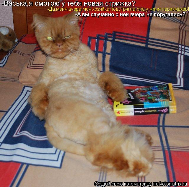Котоматрица: -Васька,я смотрю у тебя новая стрижка? -Да,меня вчера моя хозяйка подстригла,она у меня парикмахер! -А вы случайно с ней вчера не поругались?