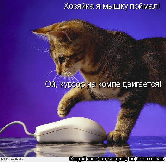 Котоматрица: Хозяйка я мышку поймал! Ой, курсор на компе двигается!