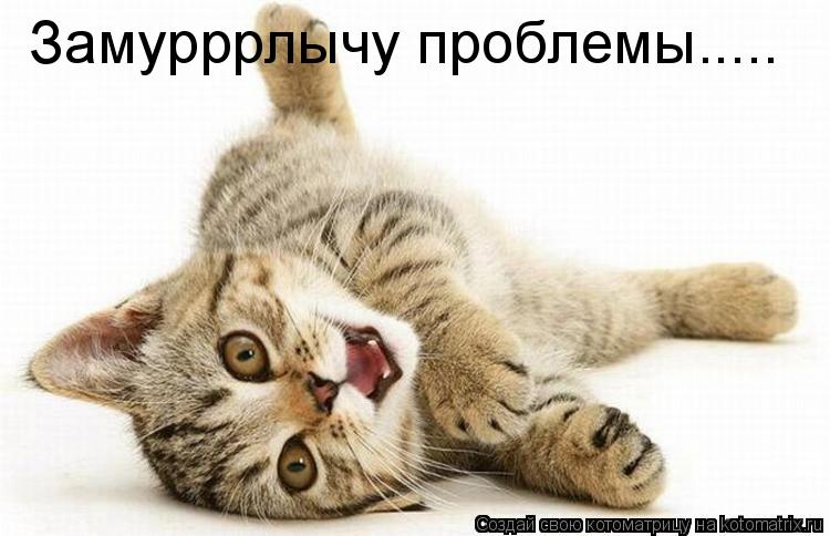 Замурррлычу проблемы........ Котоматрица: Замурррлычу проблемы.....