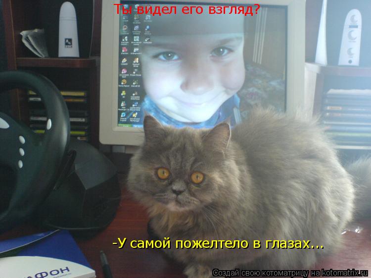 Котоматрица: Ты видел его взгляд? -У самой пожелтело в глазах...