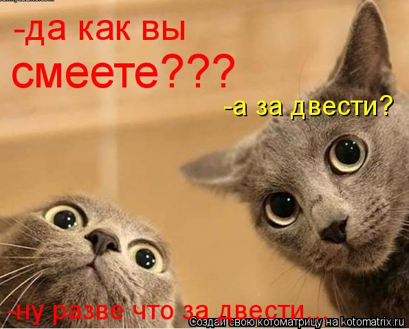 Котоматрица: -да как вы смеете??? -а за двести? -ну разве что за двести...
