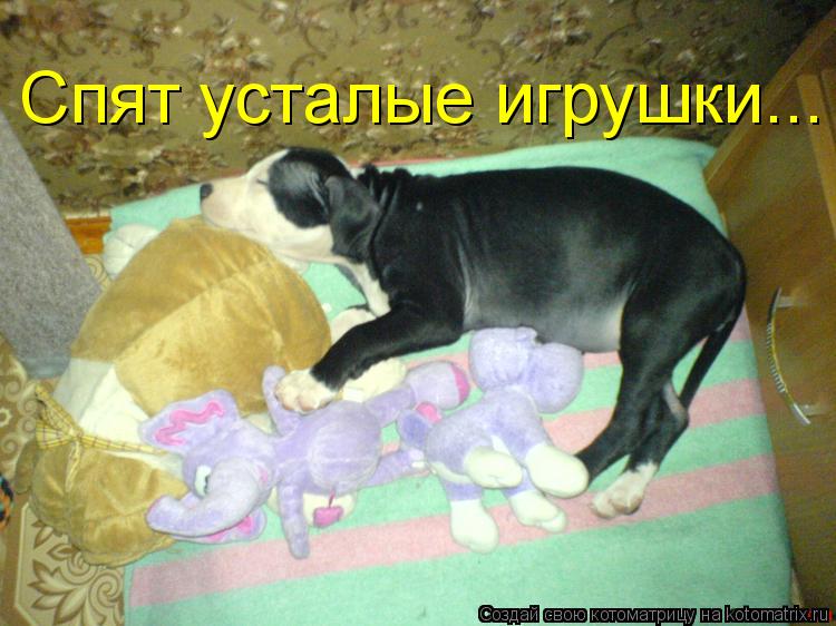 Котоматрица: Спят усталые игрушки...