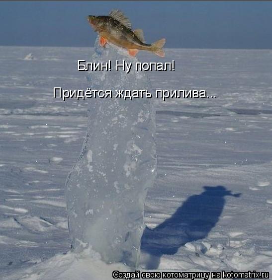 Котоматрица: Блин! Ну попал!  Придётся ждать прилива... Блин! Ну попал!