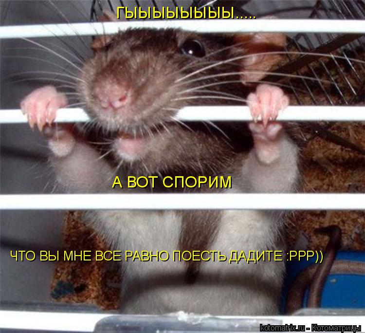 Котоматрица: ГЫЫЫЫЫЫЫЫ..... А ВОТ СПОРИМ ЧТО ВЫ МНЕ ВСЕ РАВНО ПОЕСТЬ ДАДИТЕ :РРР))