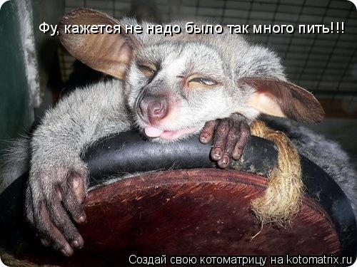 Котоматрица: Фу, кажется не надо было так много пить!!!