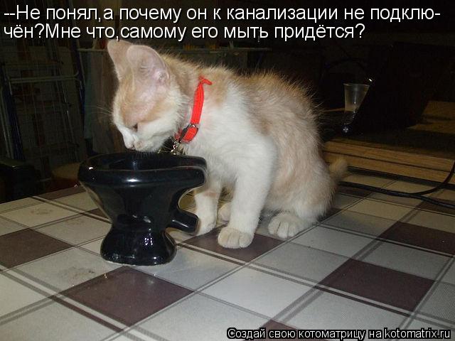 Котоматрица: --Не понял,а почему он к канализации не подклю- чён?Мне что,самому его мыть придётся?