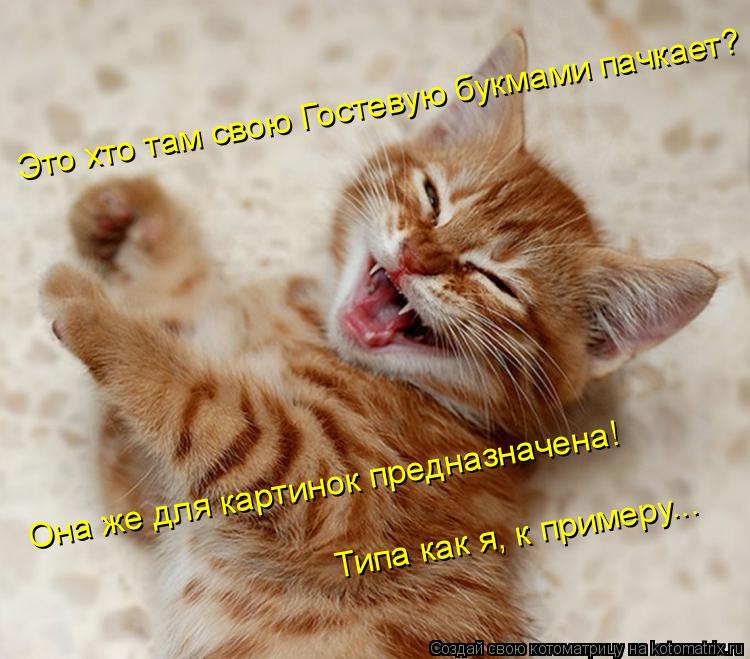 Котоматрица: Это хто там свою Гостевую букмами пачкает? Она же для картинок предназначена! Типа как я, к примеру...