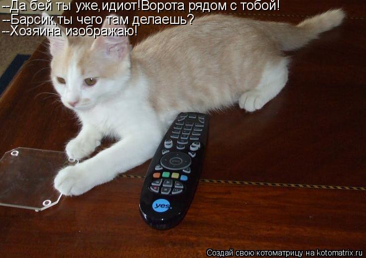Котоматрица: --Да бей ты уже,идиот!Ворота рядом с тобой! --Барсик,ты чего там делаешь? --Хозяина изображаю!