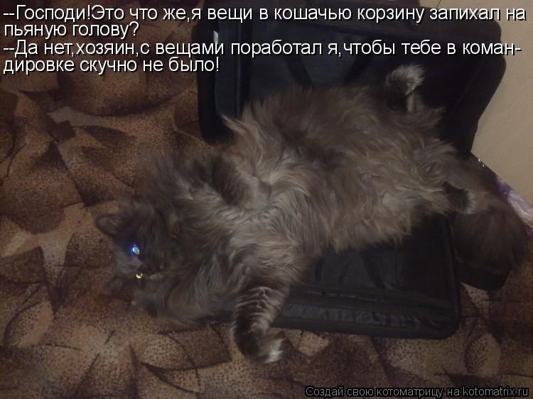 Котоматрица: --Господи!Это что же,я вещи в кошачью корзину запихал на пьяную голову? --Да нет,хозяин,с вещами поработал я,чтобы тебе в коман- дировке скучно