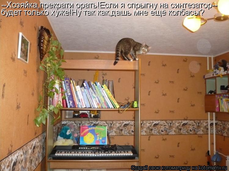 Котоматрица: --Хозяйка,прекрати орать!Если я спрыгну на синтезатор-- будет только хуже!Ну так как,дашь мне ещё колбасы?