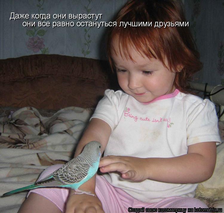 Котоматрица: Даже когда они вырастут они все равно остануться лучшими друзьями