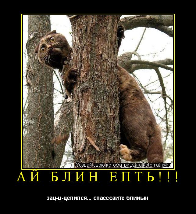 Котоматрица: АЙ блин ЁПТь!!! зац-ц-цепился... спасссайте блииын