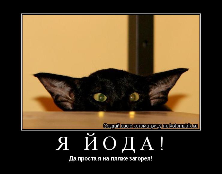 Я Йода! Да проста я на пляже загорел!... Котоматрица: Я Йода! Да проста я на пляже загорел!
