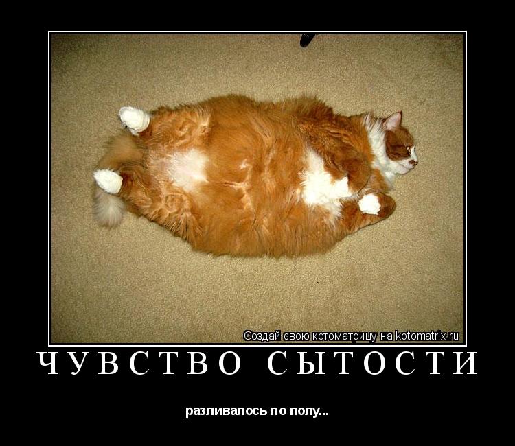 Чувство сытости разливалось по полу...... Котоматрица: Чувство сытости разливалось по полу...