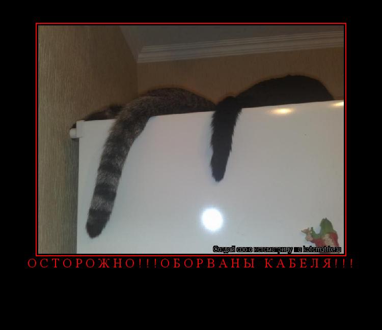 Котоматрица: осторожно!!!оборваны кабеля!!! 