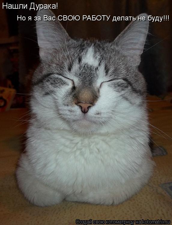 Котоматрица: Нашли Дурака! Но я за Вас СВОЮ РАБОТУ делать не буду!!!