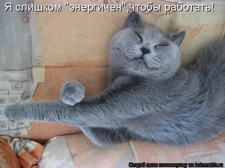 Котоматрица: Я слишком "энергичен",чтобы работать!
