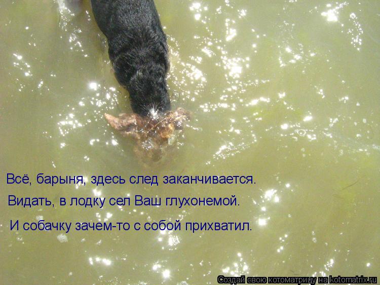 Котоматрица: Всё, барыня, здесь след заканчивается. Видать, в лодку сел Ваш глухонемой.  И собачку зачем-то с собой прихватил.