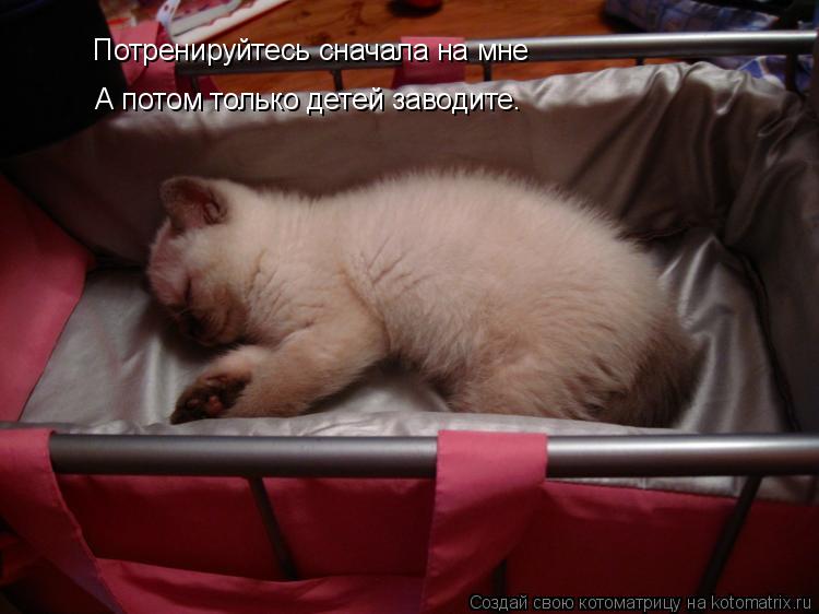 Котоматрица: Потренируйтесь сначала на мне А потом только детей заводите.