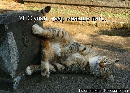 Котоматрица: УПС упал, надо меньше пить...