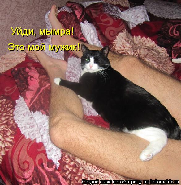 Котоматрица: Уйди, мымра! Это мой мужик!