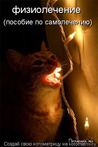 Котоматрица: физиолечение (пособие по самолечению)