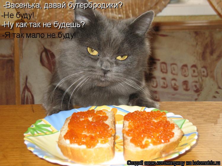 -Васенька, давай бутербродики? -Ну как так не будешь? -Не буду! -Я так мало не буду!... Котоматрица: -Васенька, давай бутербродики? -Ну как так не будешь? -Не буду! -Я так мало не буду!
