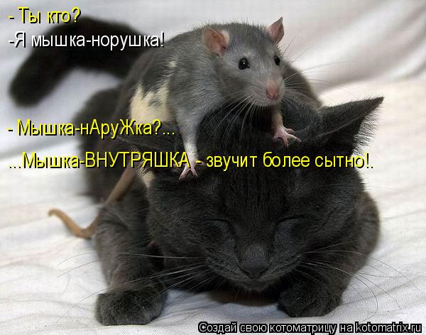 ...Мышка-ВНУТРЯШКА - звучит более сытно!. - Ты кто? -Я мышка-норушка! - Мышка-нАруЖка?...... Котоматрица: ...Мышка-ВНУТРЯШКА - звучит более сытно!. - Ты кто? -Я мышка-норушка! - Мышка-нАруЖка?...