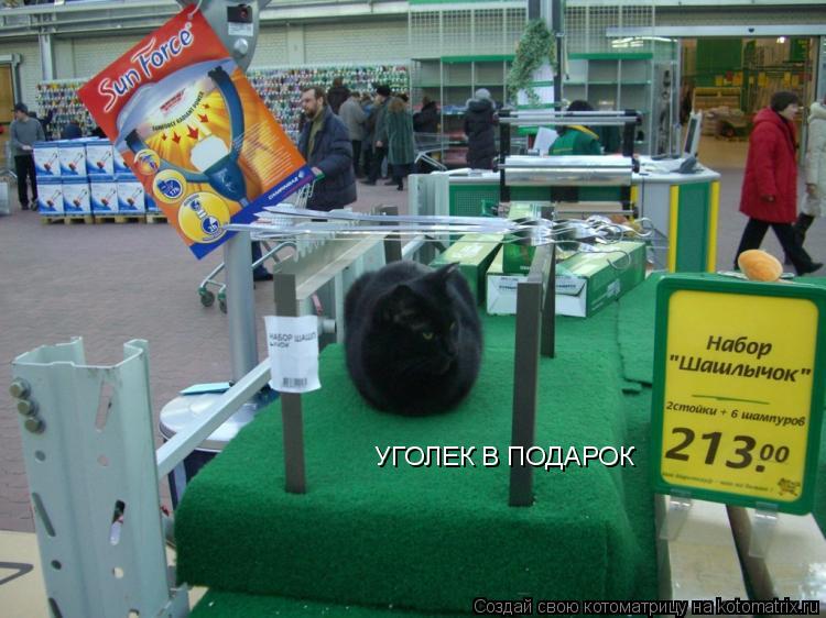 УГОЛЕК В ПОДАРОК... Котоматрица: УГОЛЕК В ПОДАРОК