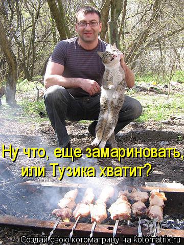 Ну что, еще замариновать, или Тузика хватит?... Котоматрица: Ну что, еще замариновать, или Тузика хватит?