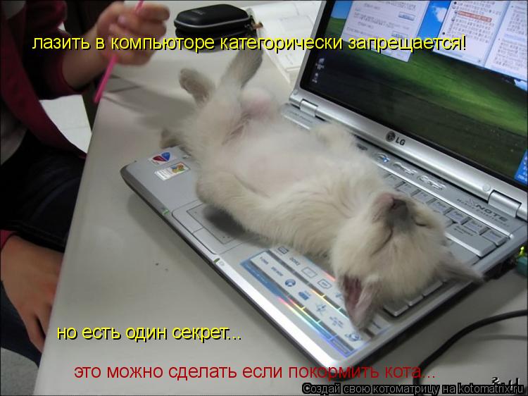 лазить в компьюторе категорически запрещается! но есть один секрет... это можно сделать если покормит... Котоматрица: лазить в компьюторе категорически запрещается! но есть один секрет... это можно сделать если покормить кота...