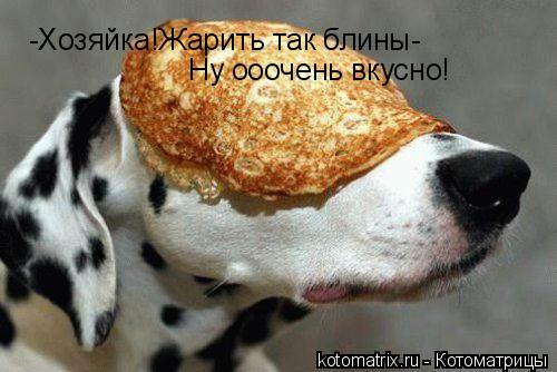 -Хозяйка!Жарить так блины- Ну ооочень вкусно!... Котоматрица: -Хозяйка!Жарить так блины- Ну ооочень вкусно!